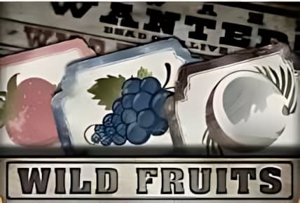 Wild Fruits img