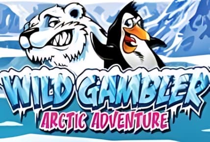Wild Gambler Arctic Adventure img