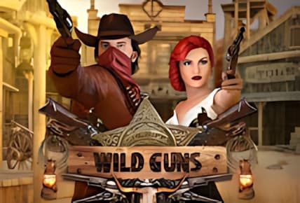 Wild Guns img