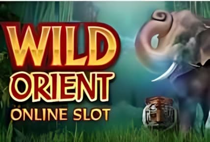 Wild Orient img