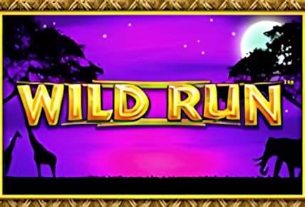 Wild Run img