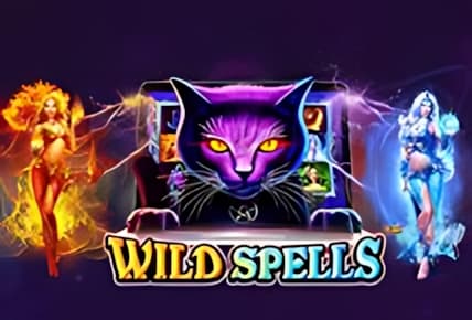 Wild Spells img