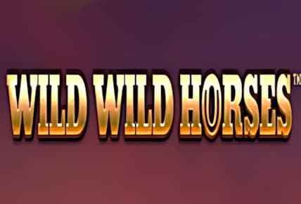 Wild Wild Horses img