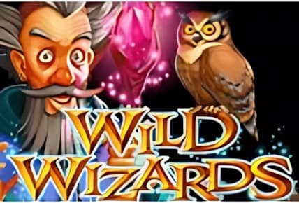 Wild Wizards img