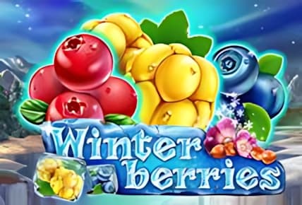 Winterberries img