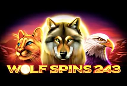 Wolf Spins 243 img