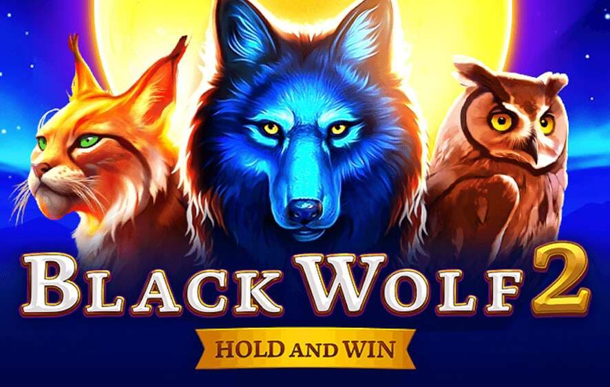 Black Wolf 2