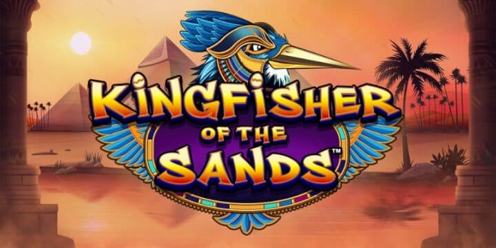 Kingfisher of the Sands img