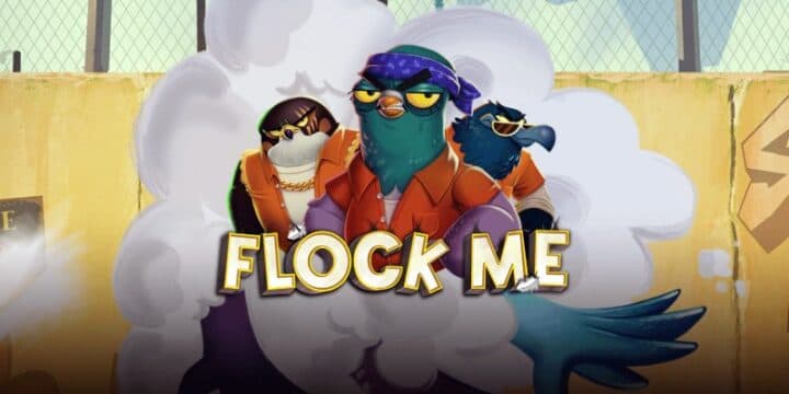 Flock Me img
