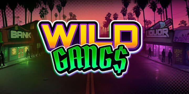Wild Gangs img