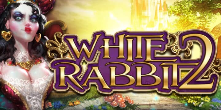 White Rabbit 2 img