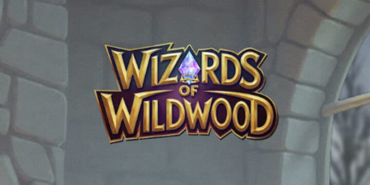 Wizards of Wild Wood img