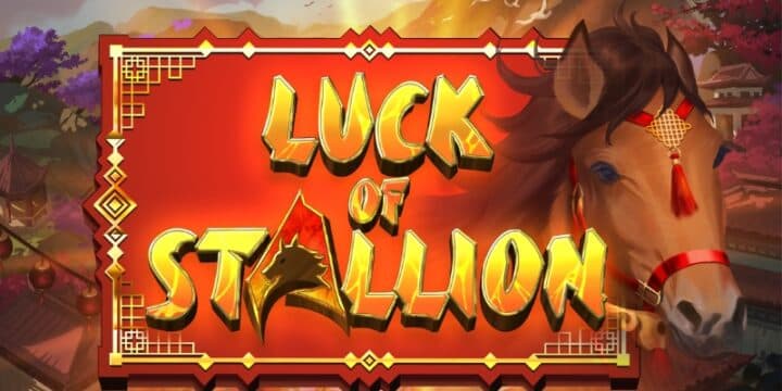3 Wonders Luck of Stallion img