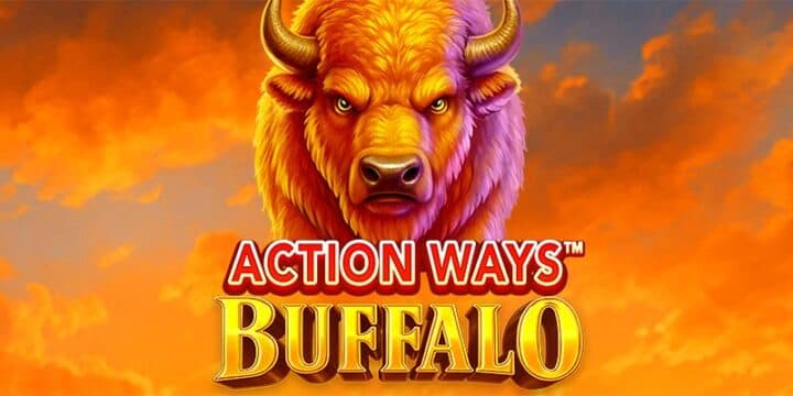 Action Ways Buffalo img