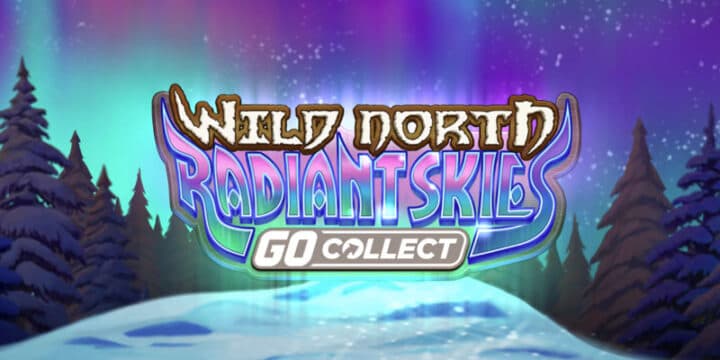 Wild North Radiant Skies img