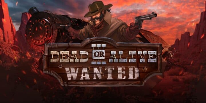 Dead or Alive 3: Wanted img