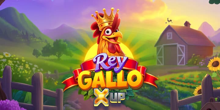 Rey Gallo X UP img