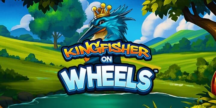 Kingfisher on Wheels img