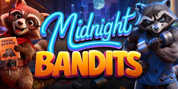 Midnight Bandits img