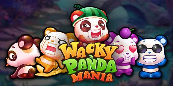 Wacky Panda Mania img