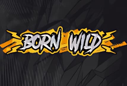 Born Wild img