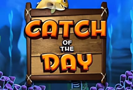 Catch Of The Day img