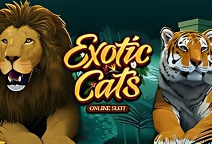 Exotic Cats img
