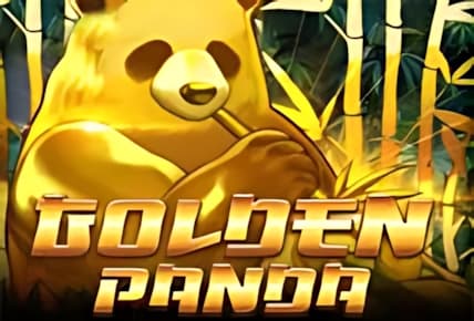 Golden Panda img