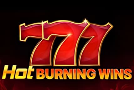 Hot Burning Wins img