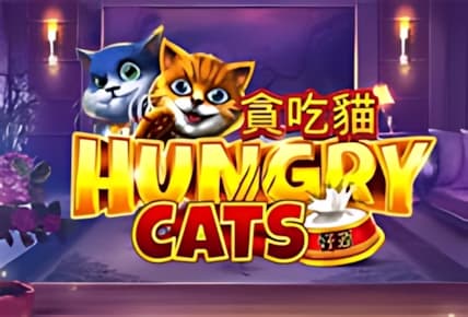 Hungry Cats img