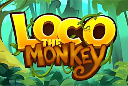 Loco the Monkey img