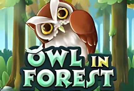 Owl In Forest img