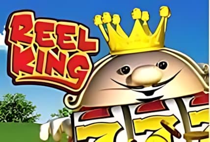 Reel King img