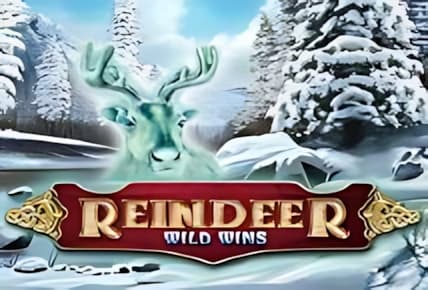 Reindeer Wild Wins img