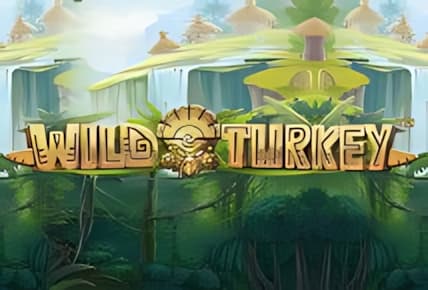 Wild Turkey img