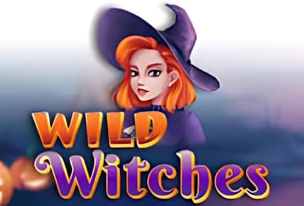 Wild Witches (Amatic Industries) img