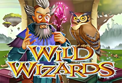 Wild Wizards (Saucify) img
