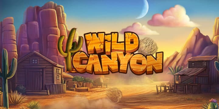 Wild Canyon img