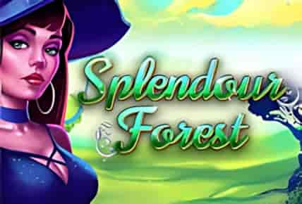 splendour-forest.jpg