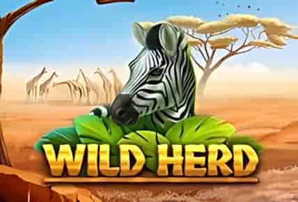 Wild Herd