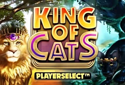 king-of-cats.jpg