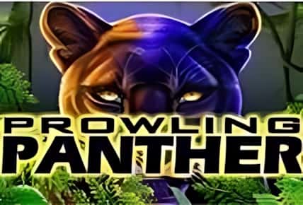 Prowling Panther