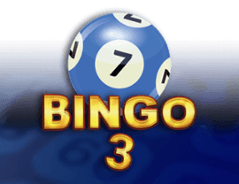 Bingo 3