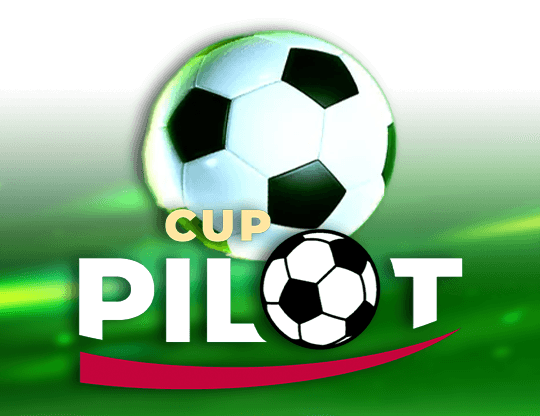 Pilot Cup