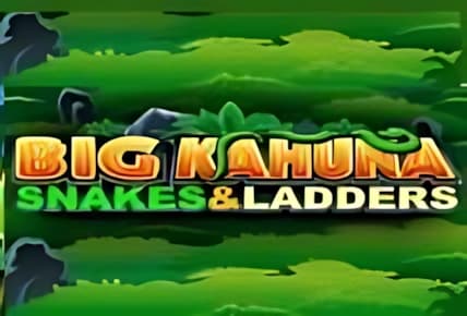 Big Kahuna Snakes and Ladders