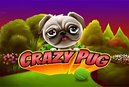 Crazy Pug