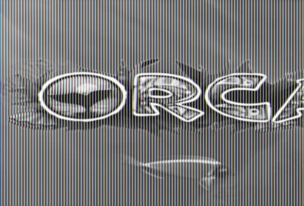 Orca