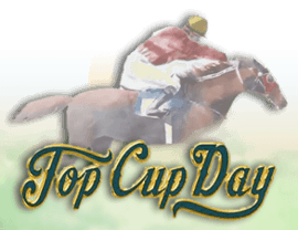 Play Top Cup Day
