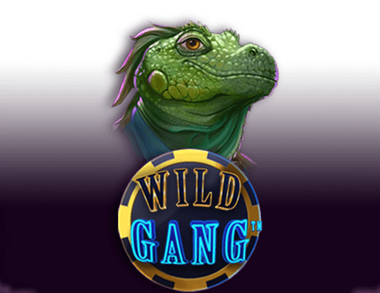 Play Wild Gang