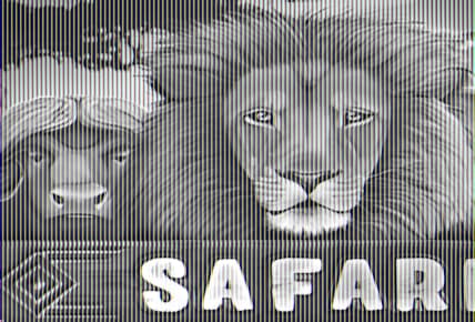 Safari